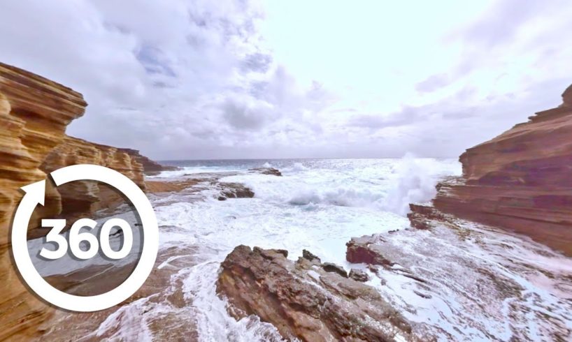 🌴Take A Tropical Break And Explore The Hawaiian Islands in Virtual Reality! (360 Video)