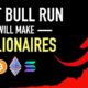 The Next Crypto Bull Run - Will Make Millionaires!