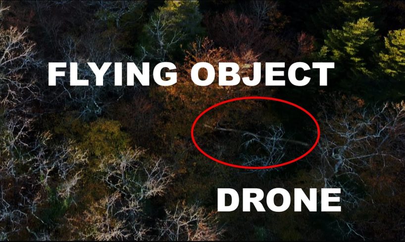 Flying Object Caught on Drone Camera