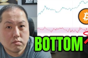 BITCOIN BOTTOM INDICATOR IS IN