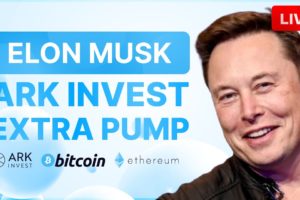 Elon Musk Makes A Final Push To End Twitter Censorship! BITCOIN TO JUMP 70%  Btc Cryptocurrency News