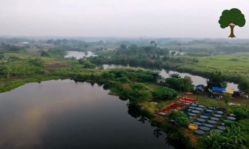 village view with drone camera  #village #punjabdrone #videographydrone #video pakistan