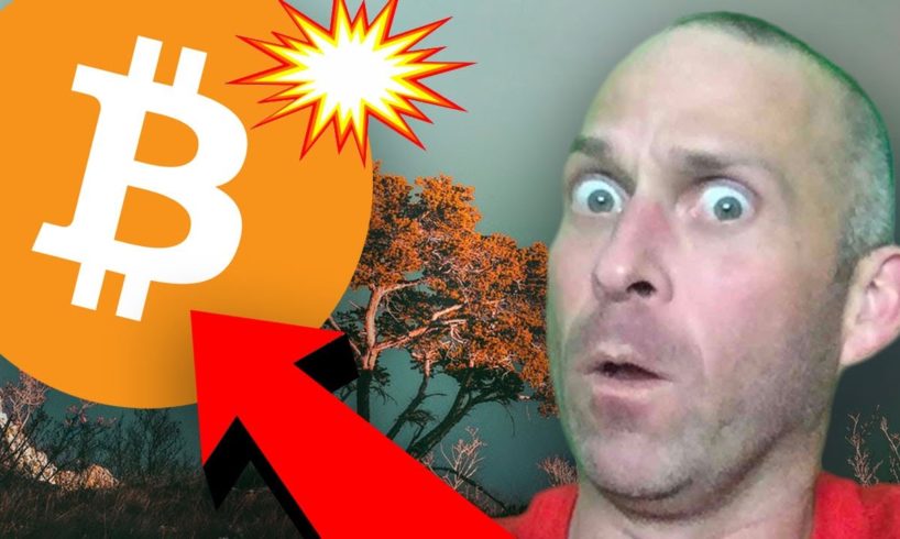 WILL BITCOIN PRICE RECOVER OR CRASH AGAIN???