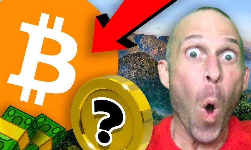 BITCOIN BULL PROOF!!!!! TOP ALTCOINS TO BUY!!!!!