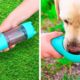AWESOME GADGETS AND HACKS EVERY PET OWNER SHOULD SEE