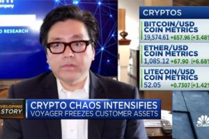 Bitcoin shows that part of the crypto system works well, says Fundstrat's Tom Lee