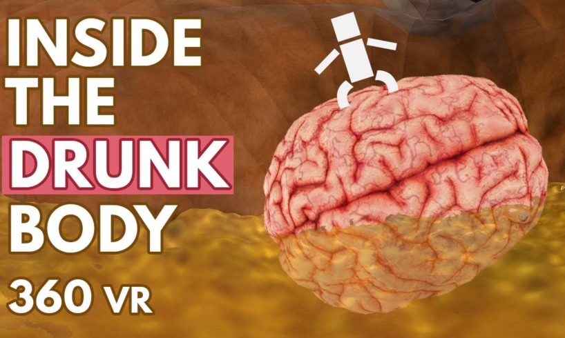 What Happens Inside Your Drunk Body? - VR 360°