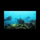 Underwater Drone Camera 4K UHD ROV Real-Time Viewing
