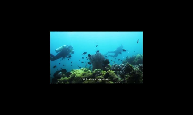 Underwater Drone Camera 4K UHD ROV Real-Time Viewing