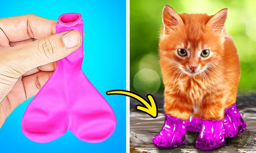 CUTE TIKTOK PET HACKS | CLEVER GADGETS AND FUNNY CRAFTS