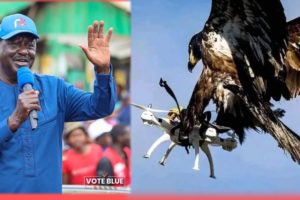 BREAKING NEWS -EAGLE ATTACKS AZIMIO LA UMOJA DRONE CAMERA AT KASARANI STADIUM!UCHAWI?