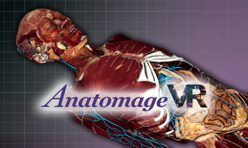 Anatomage VR: Real Anatomy In Virtual Reality