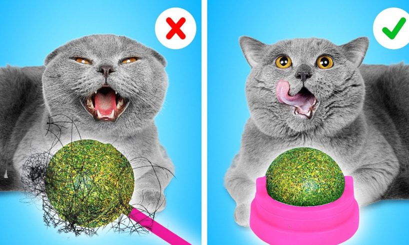 Must-Have GADGETS for your CAT! How to Sneak Pets from Parents by La La life Games