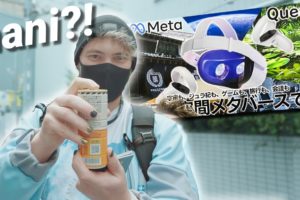 VR in Japan is on a WHOLE NEW LEVEL!