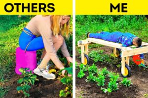 Amazing Plant Hacks And Best Garden Gadgets