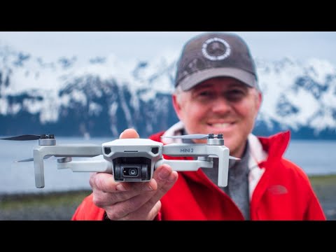 The DJI Mini 2: Still the Best Beginner Drone in 2022?