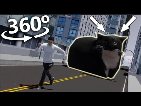 360° CHASING AS Maxwell The Cat in VR/4K