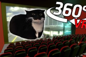 360° Maxwell The Cat - CINEMA HALL | VR/4K
