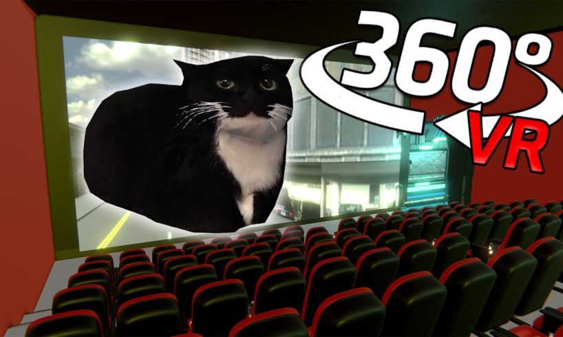 360° Maxwell The Cat - CINEMA HALL | VR/4K