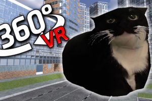360° Maxwell The Cat CHASES YOU in METROPOL VR/4K