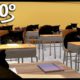 360° SCHOOL EXAM With Maxwell The Cats in VR/4K