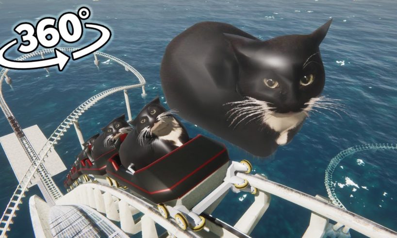 VR 360 Maxwell The Cat Roller Coaster!