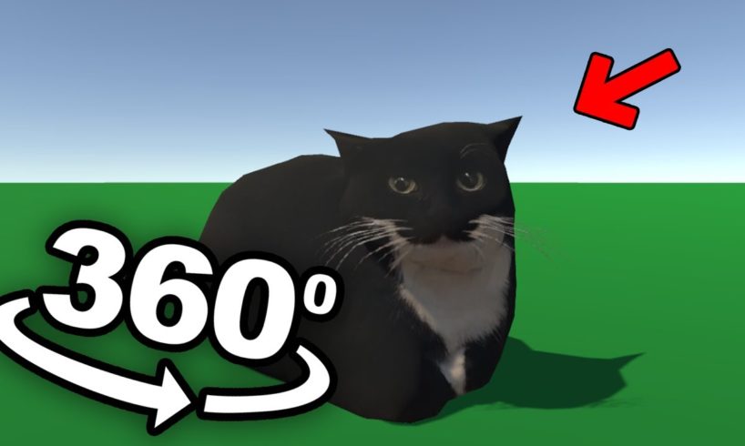 VR 360 Find Hidden Maxwell The Cat!