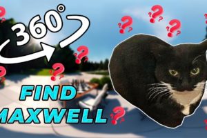 Maxwell The Cat 360° - FIND MAXWELL| VR/360 Video 🔎