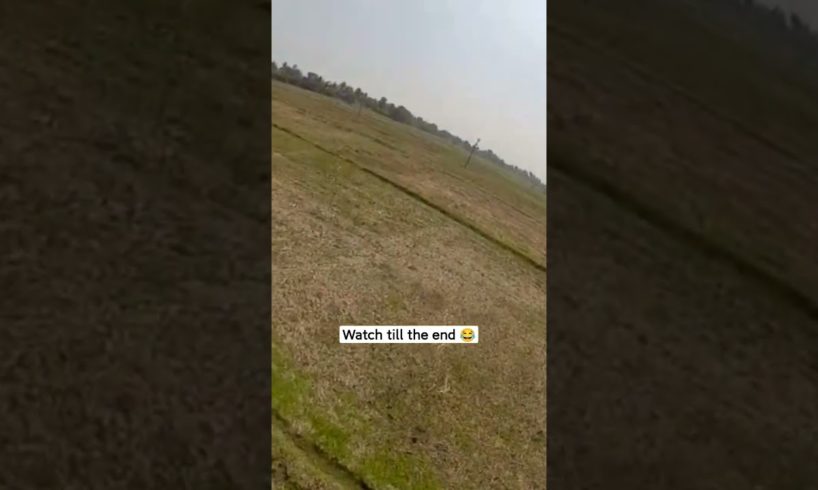 Drone camera crash landing 😂
