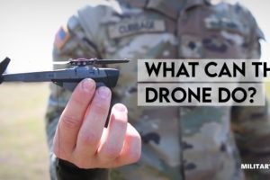 What can a Black Hornet drone do?