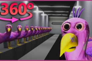 Opila Bird Room in 360° VR / 4K