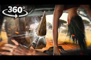 VR 360 - Rhino Attacks Car. Escape and Survive with Girlfriend 6K