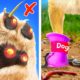 Keep Your Pets Safe! *Viral Gadgets and Hacks For Happy Cats and Dogs*