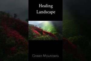 Healing Landscape  Green Mountains Revealed Through a Drone Camera Lens