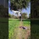 DJI Phantom 4 pro new video drone camera new video #djiair3 #fpv#fvpdronevlog #djiosmoaction4forvlog