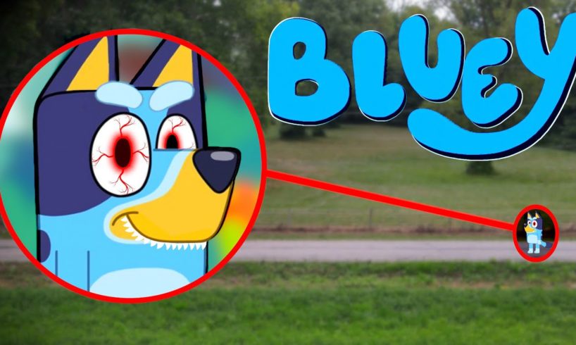 Drone Catches BLUEY IN REAL LIFE!!