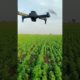 अपने खेत में ड्रोन कैमरा उड़ाया आज🌿🌿My Farm Drone Camera Live Video...Lalit Experiment Show #shorts