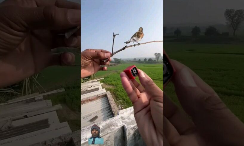 Camera Like a Bird 🐦 #drone #experiment #mrindianhacker #shorts #viral #trending #ytshorts