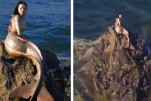 Man's Drone Camera Caught Something Terrifying on the Beach