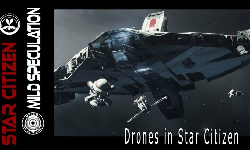 Mild Speculation   Drones in Star Citizen