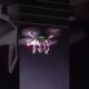 drone camera #viral #dronevideo #dronephotography #shortvideo #ytshorts #drone #dronelovers