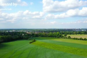 green plants ☘️ drone camera photage [presented by pexels Lab] #green#photage#dronecamera